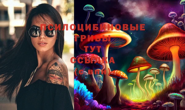 спиды Абдулино