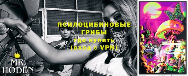 прущие крисы Абаза