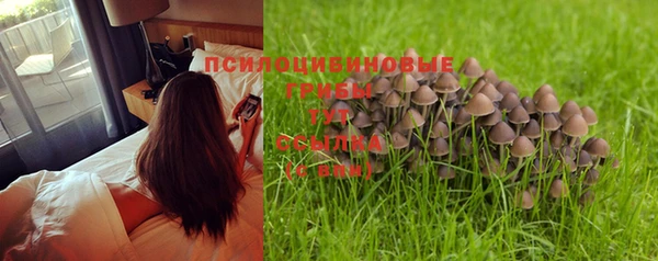 молекула духа Абинск
