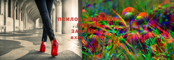 МДПВ Алексеевка